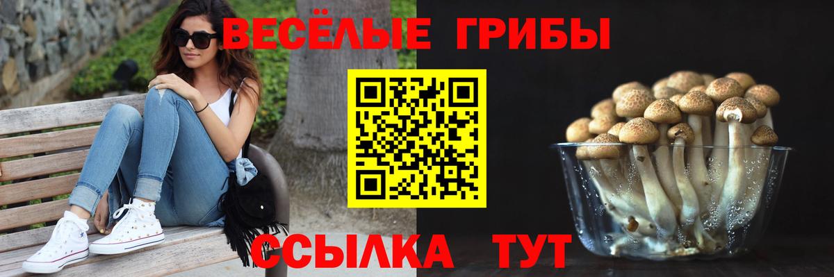 Октябрьский  цена наркотик  Вход с VPN  Псилоцибиновые грибы GOLDEN TEACHER 