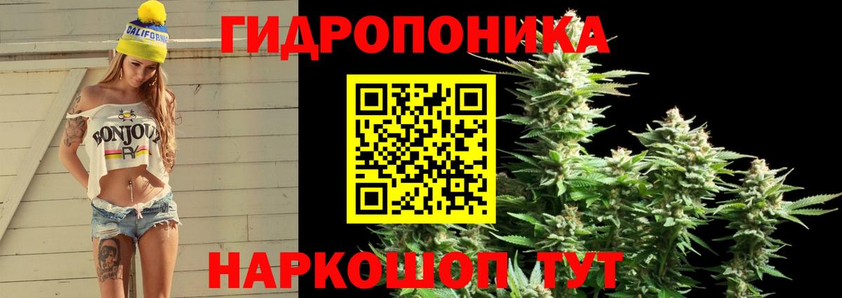 МАРИХУАНА ГИДРОПОН Октябрьский